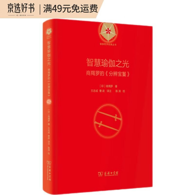 智慧瑜伽之光：商羯罗的《分辨宝鬘》(瑜伽哲学经典丛书)