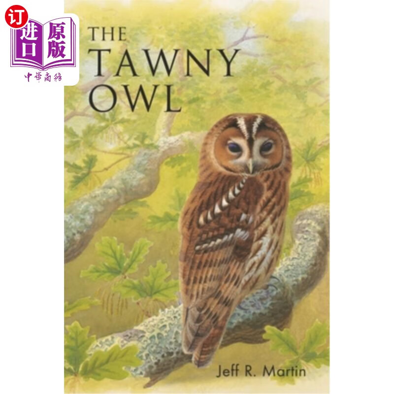 海外直订the tawny owl 茶色猫头鹰