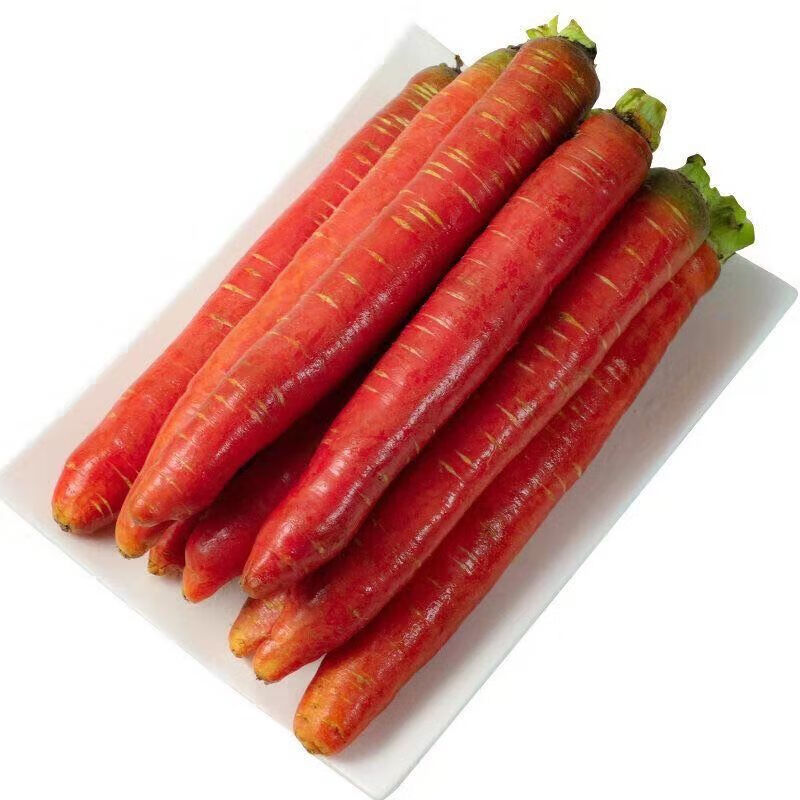 【沙地红萝卜】原生态新鲜蔬菜胡萝卜带泥现挖现发10斤孕妇营养 帯箱