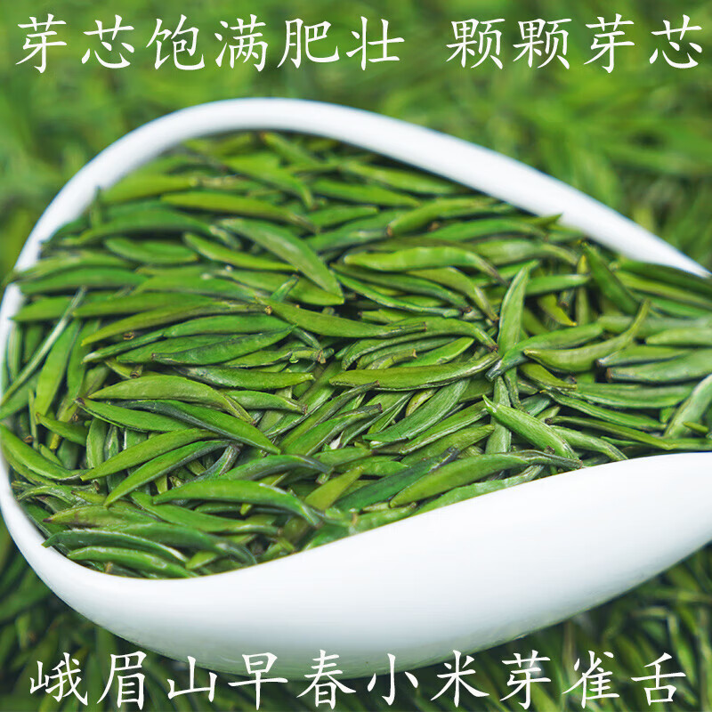 碧叶戏潭雀舌绿茶2024新茶特级毛尖峨眉山雪芽四川竹叶茶青茶叶礼盒装 雀舌新茶 125g