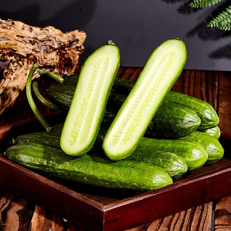 佑嘉木山东潍坊水果黄瓜   现摘小青瓜 火锅蔬菜沙拉菜单果100g以上 4.5斤普通装