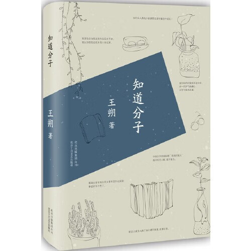 王朔文集作品集全集自选 王朔新书起初竹书