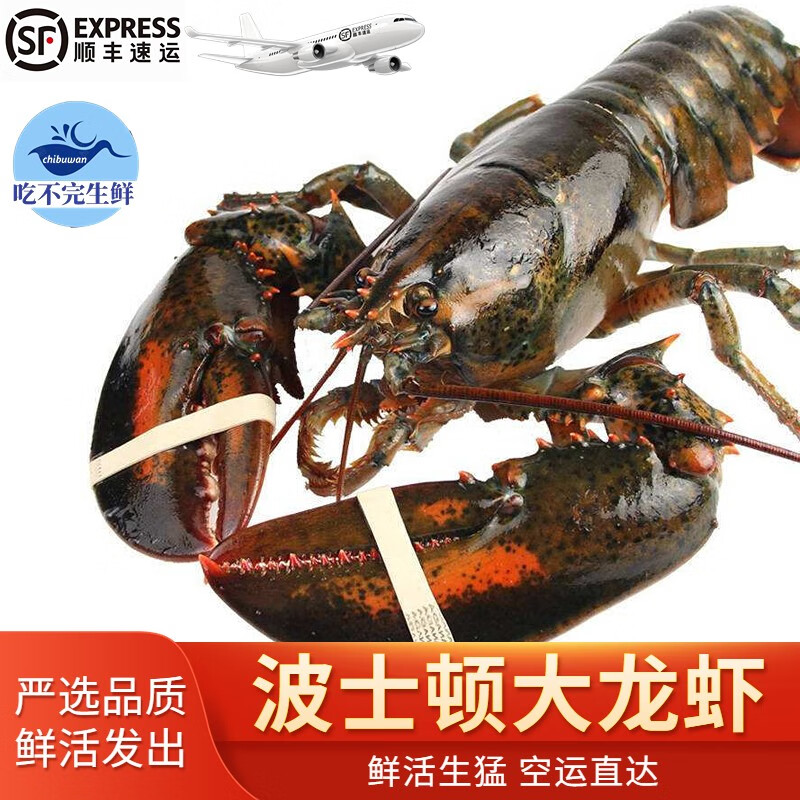 可以看京东虾类历史价格|虾类价格走势图