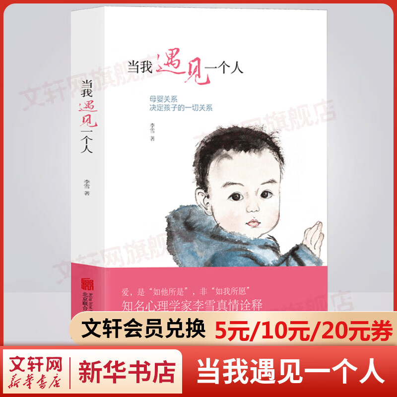 当我遇见一个人：母婴关系决定孩子的一切关系 李雪育儿家教百科书籍 尹建莉、武志红推荐