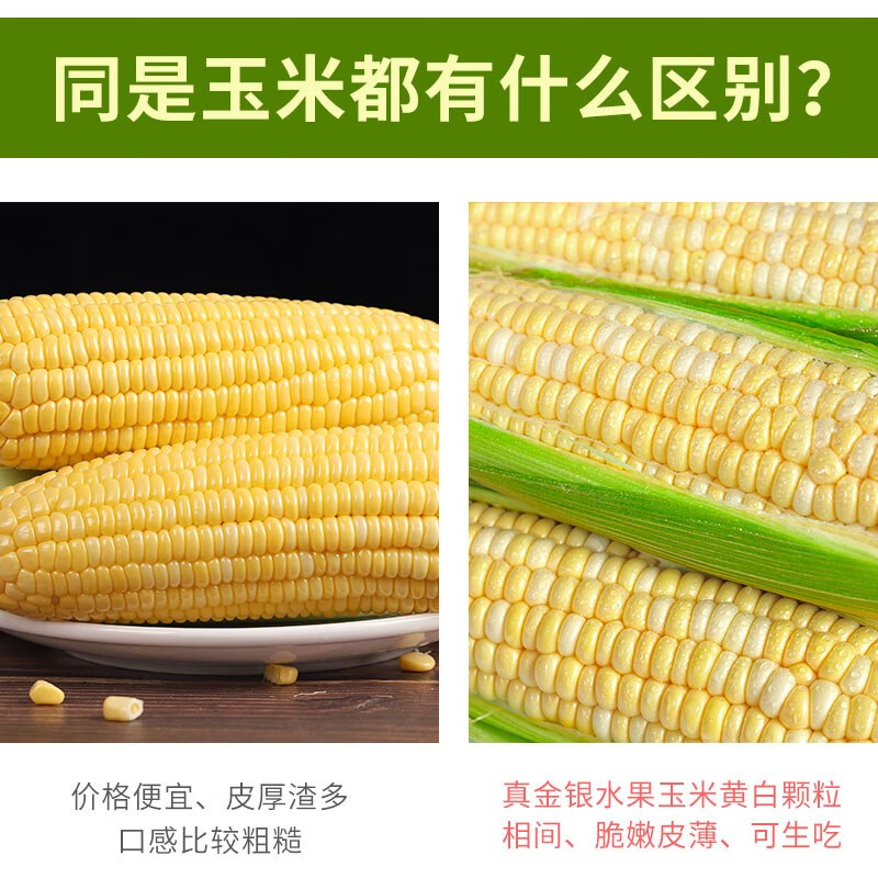 中鲜生云南水果玉米 新鲜甜玉米 现摘玉米棒 生鲜蔬菜可生吃火锅食材 净重5斤 甄选品质 I 金银水果玉米【约5-8根】
