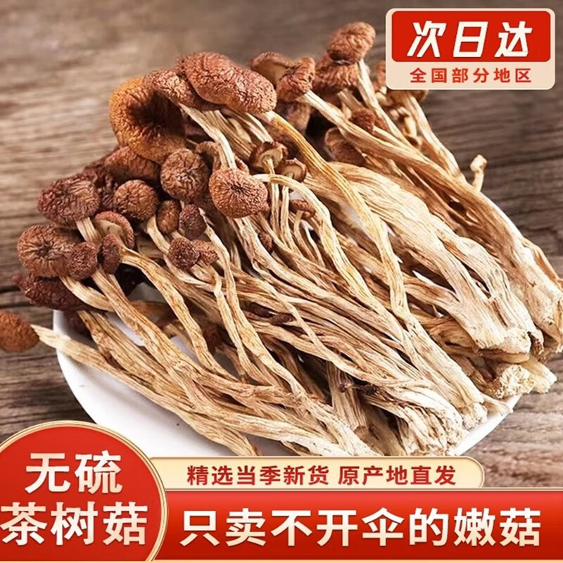 2023云南农家茶树菇干货不开伞切根新鲜茶薪菇香菇蘑菇250g 500克 不开伞茶树菇（净重甄选）