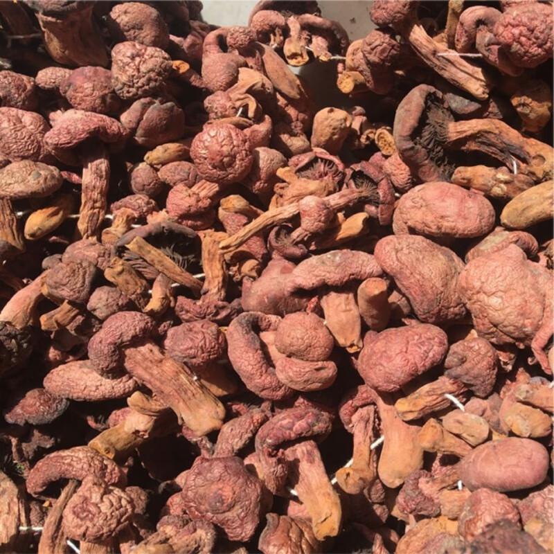 维霆东北特产红松伞蘑菇红蘑松鼠伞干货松蘑菇小鸡炖蘑菇自然晒干 250