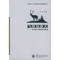 飞跃——联邦技术移民成功案例 安青著【放心选购】