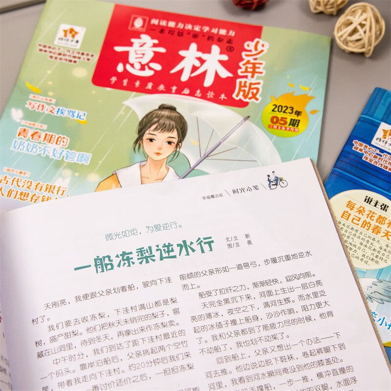 意林少年版2026期刊订阅杂志2026年1-12月全年订阅小学生课外阅读与积累下单送帆布袋图书 【半年期刊】意林少年版24年7-12月（12本）
