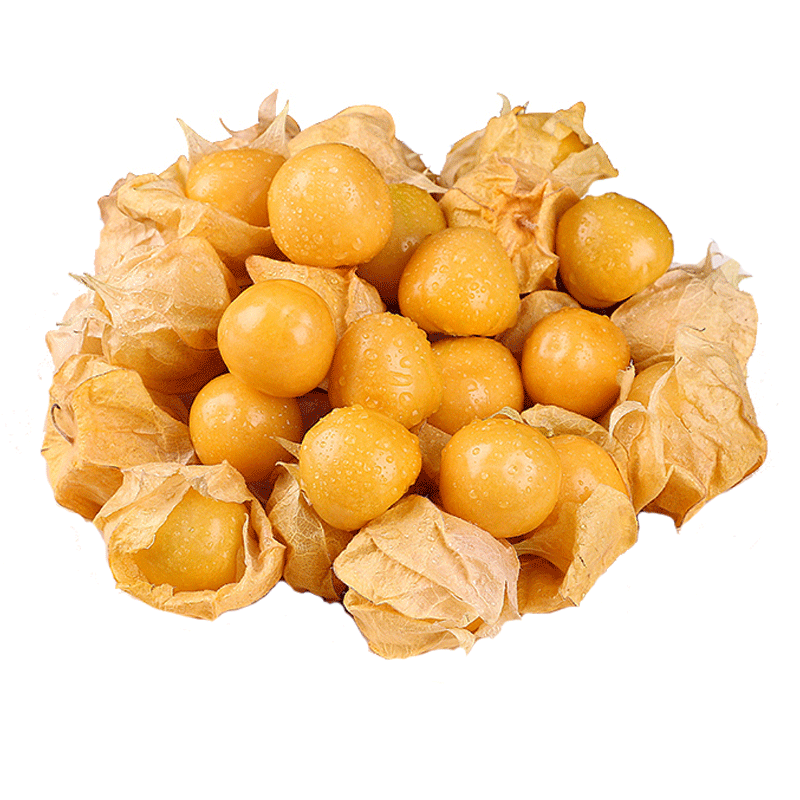 泽鲜达 东北姑娘果 新鲜灯笼果 当季现摘黄菇娘洋姑娘果孕妇水果 1斤