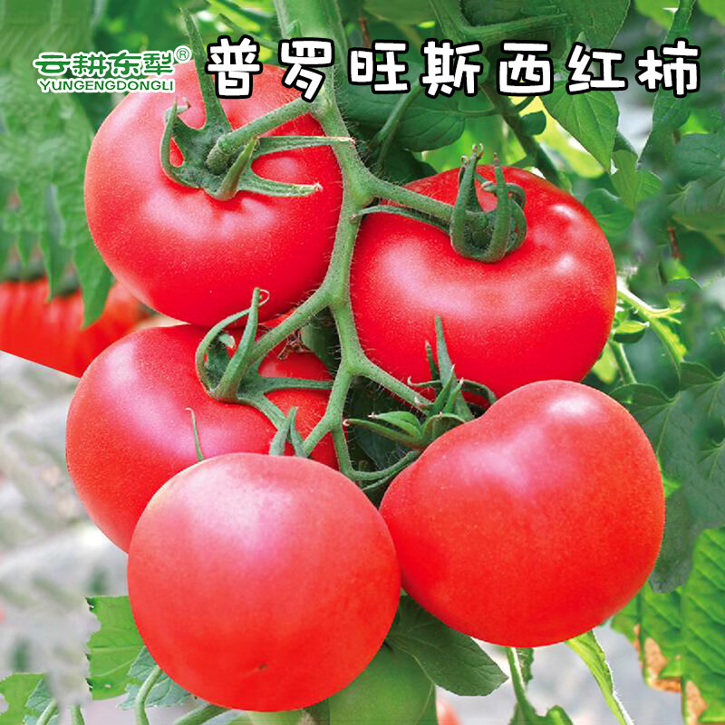京东新品首发 2021-06-12 - 第25张 | 最新购物优惠券 京东新品首发 2021-06-12 - 第25张 | 最新购物优惠券