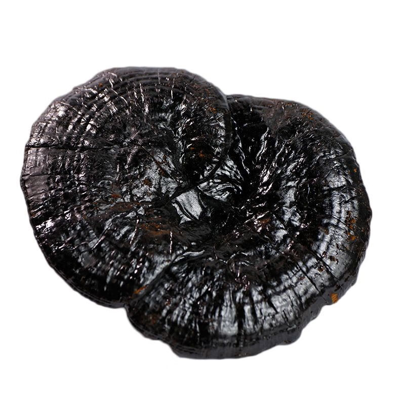 【精选】灵芝:黑灵芝野生云南深山不苦林芝整枝野灵芝半野生黑灵芝片