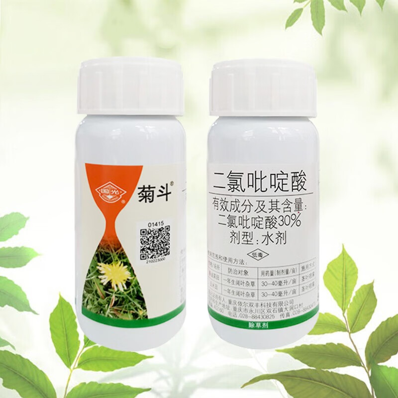 国光菊斗二氯吡啶酸马尼拉黑麦结缕草坪除草剂恶阔净除刺儿菜阔叶杂草