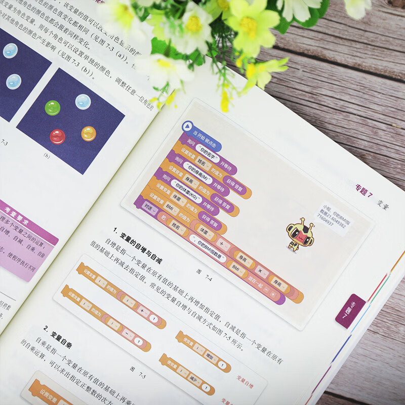 NCT全国青少年编程能力等级测试教程:图形化编程二级详情图