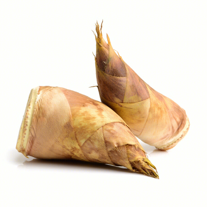 shiyixian冬笋新鲜毛竹笋 鲜笋现挖当季整箱农家蔬菜团建活动送礼 3斤