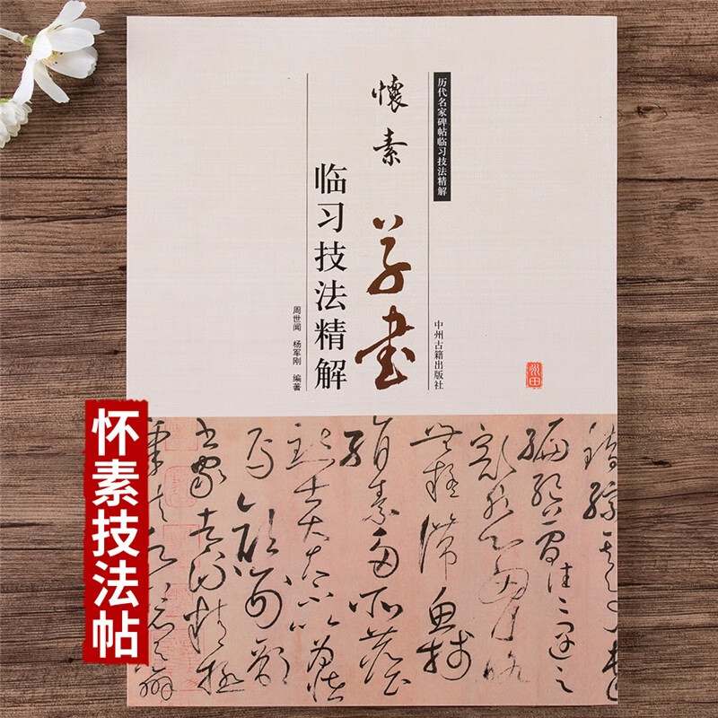 正版 怀素草书临习技法精解 怀素自叙帖论书帖小草千字文狂草历代名家碑帖临习技法精解草书