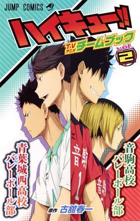 烏野高校排球部排球少年 角色公式书 2ハイキュー!! TVアニメチームブック vo2 古舘春一日
