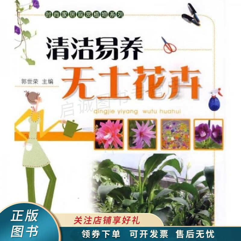 清洁易养无土花卉