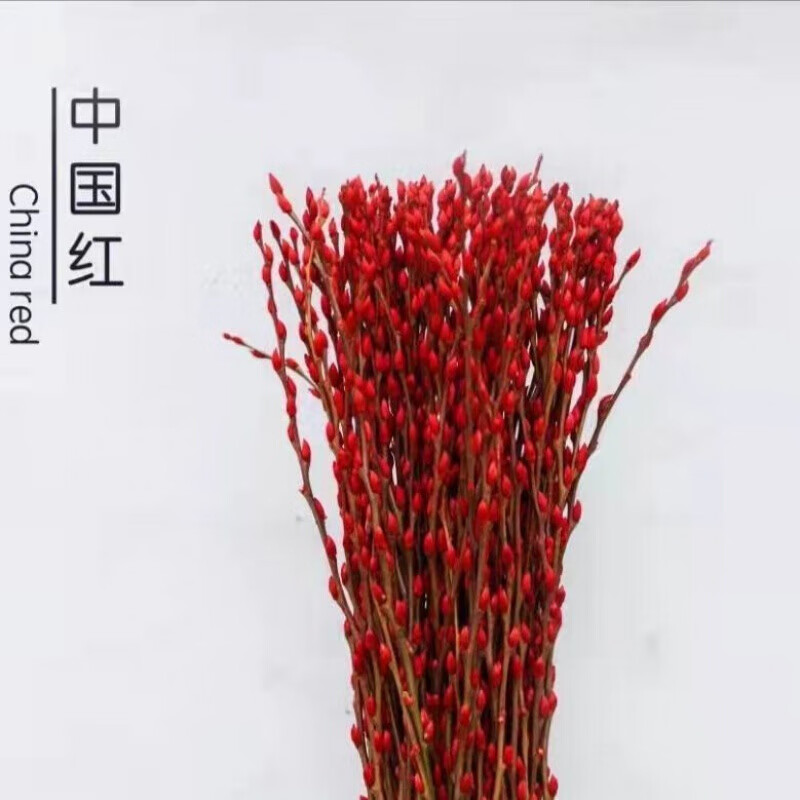 仿真花束15米高大银柳银柳真花鲜枝年宵花卉银柳干花彩柳枝 红色银柳