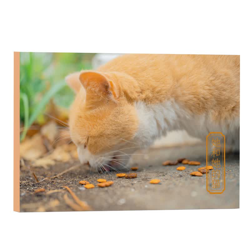 她和她的猫