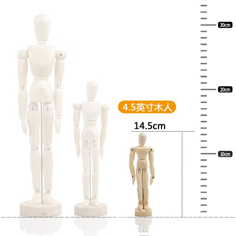 素描木偶人体模型灵活可动活动关节画画小木头人木手模型美术速写比例