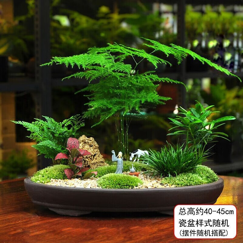 Only you����Сʱ�С��������ľ����������ֲ�辰���԰칫�ҽ�ʦ���� �����辰