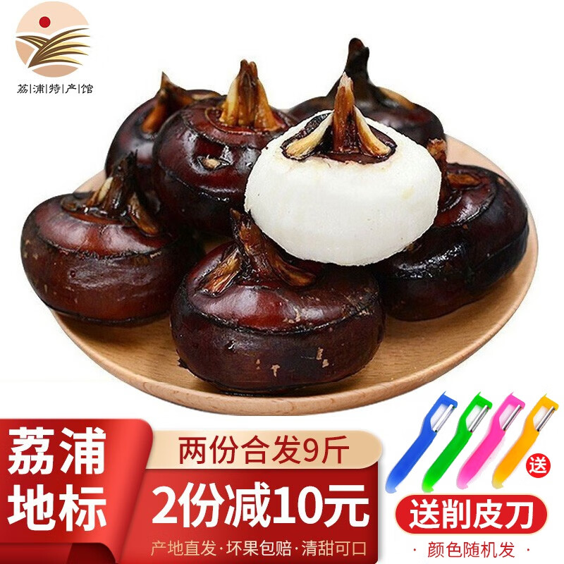 生鲜密语广西特产马蹄5斤精选荸荠 根茎类水果蔬菜 烧烤煲汤生鲜食材