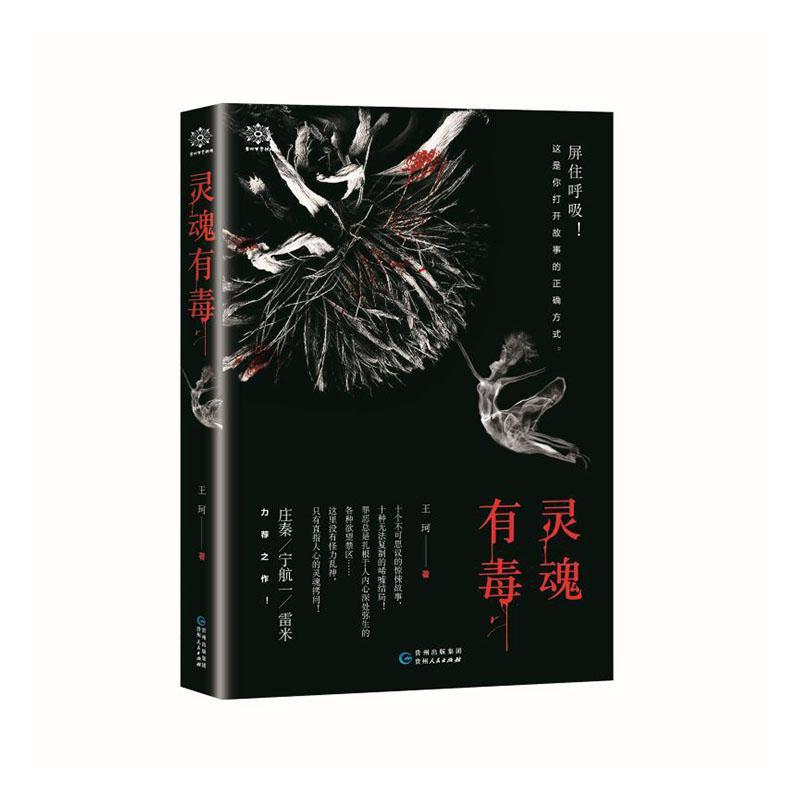 灵魂有毒 王珂 贵州人民出版社 小说 书籍