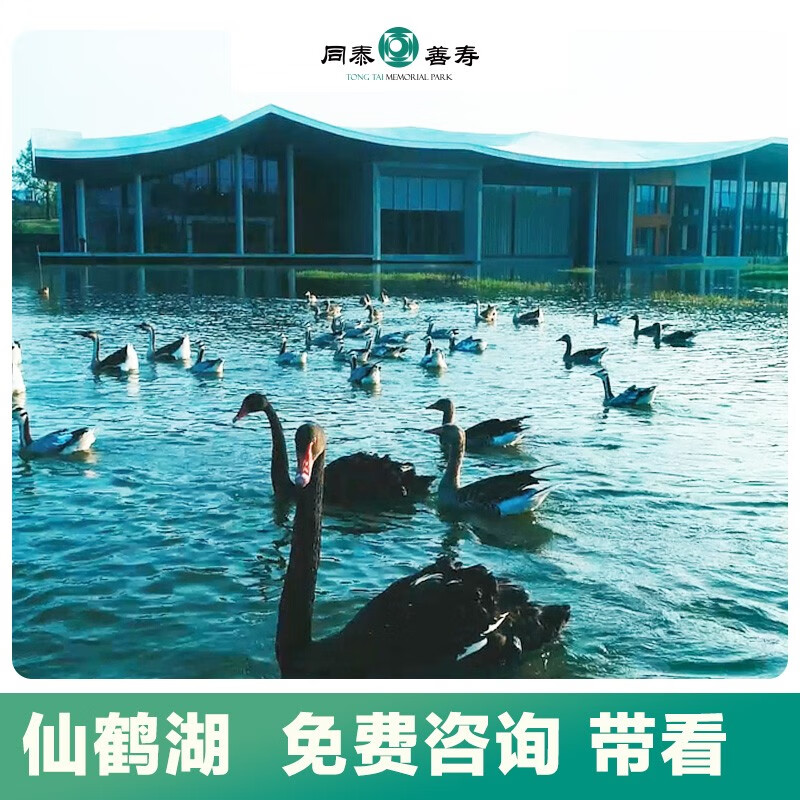 湖北武汉墓地仙鹤湖湿地陵园墓地带看丧葬白事服务