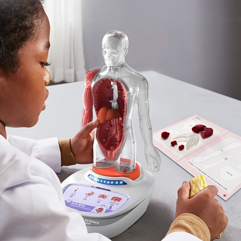 科学罐头人体模型玩具Steam智力发展早教玩具男孩女孩宝宝儿童开学礼物 我们的身体语言百科使用感如何?