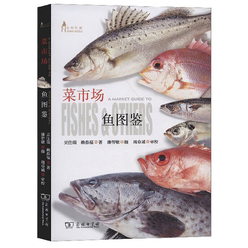 菜市场鱼图鉴 自然观察丛书 鱼鲜认知图谱科学自然观察课 鱼类博物大百科 菜市场鱼图鉴
