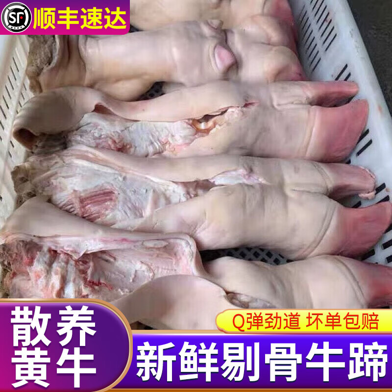 珍鲁赤尔 牛蹄新鲜冷冻生剔骨蹄去骨带爪头牛脚牛蹄子商用批发牛肉