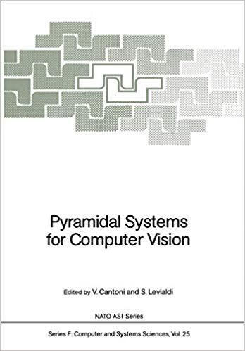 预订 pyramidal systems for computer vision