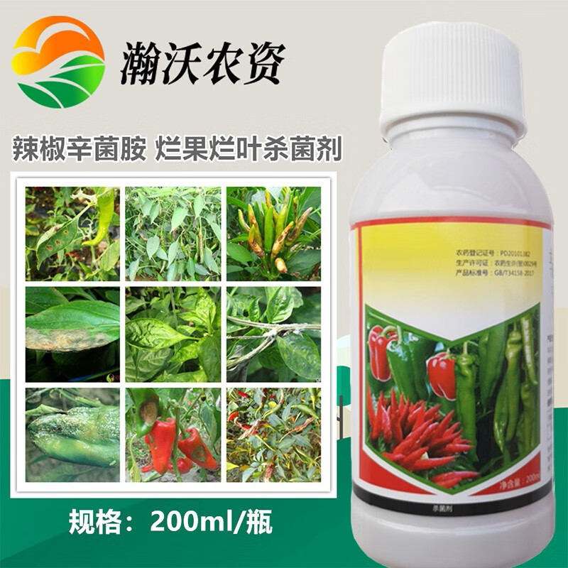 辣椒专用辛菌胺杀菌剂疮痂病炭疽病烂果黑斑叶斑病立枯朝天椒甜椒 200