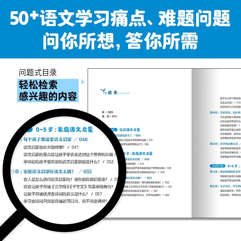 每个孩子都能学好语文 常青藤爸爸对话特级教师书系详情图