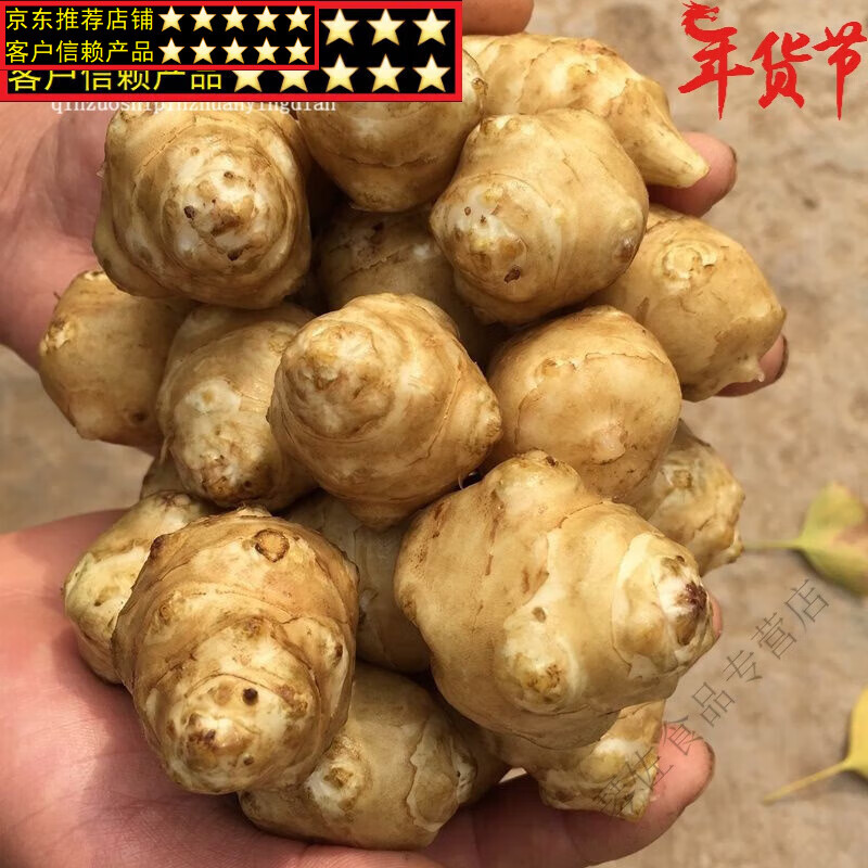 富润世鲜洋姜 新鲜洋姜鬼子姜现挖洋姜蛋洋生姜洋芋头甜姜2斤5斤 洋姜