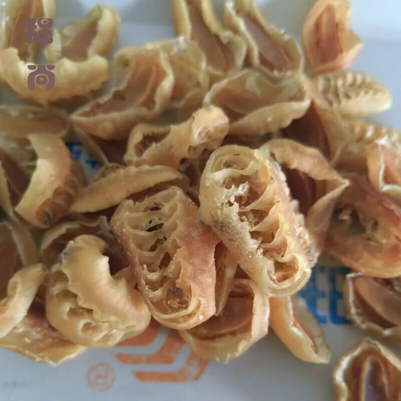 美朝福七星鲍螺干九尾鲍螺干深海干石鳖海鲜小石螺干货 250g