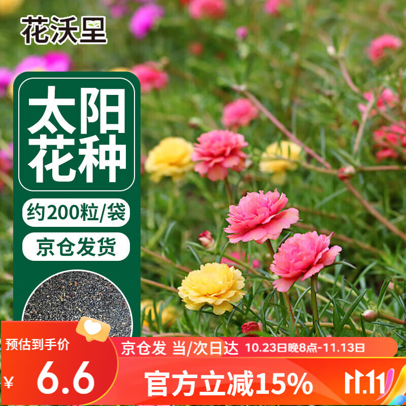 花沃里 太阳花种子混色约200粒 花卉种子家庭盆栽阳台/办公室/庭院草籽怎么样,好用不?