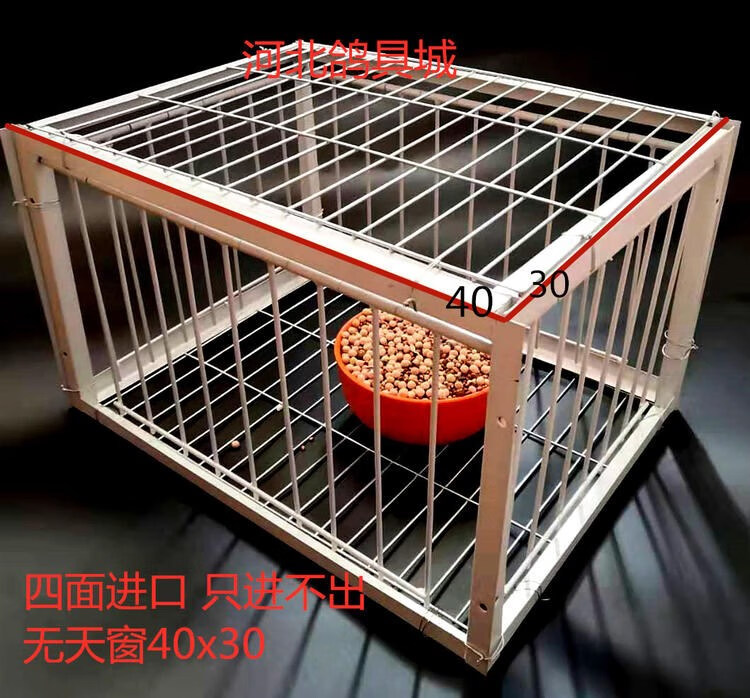 只进不出鸽子笼鸽子舍自动捕鸽神器跳笼鸽笼跳门只进不出信鸽撞笼天落