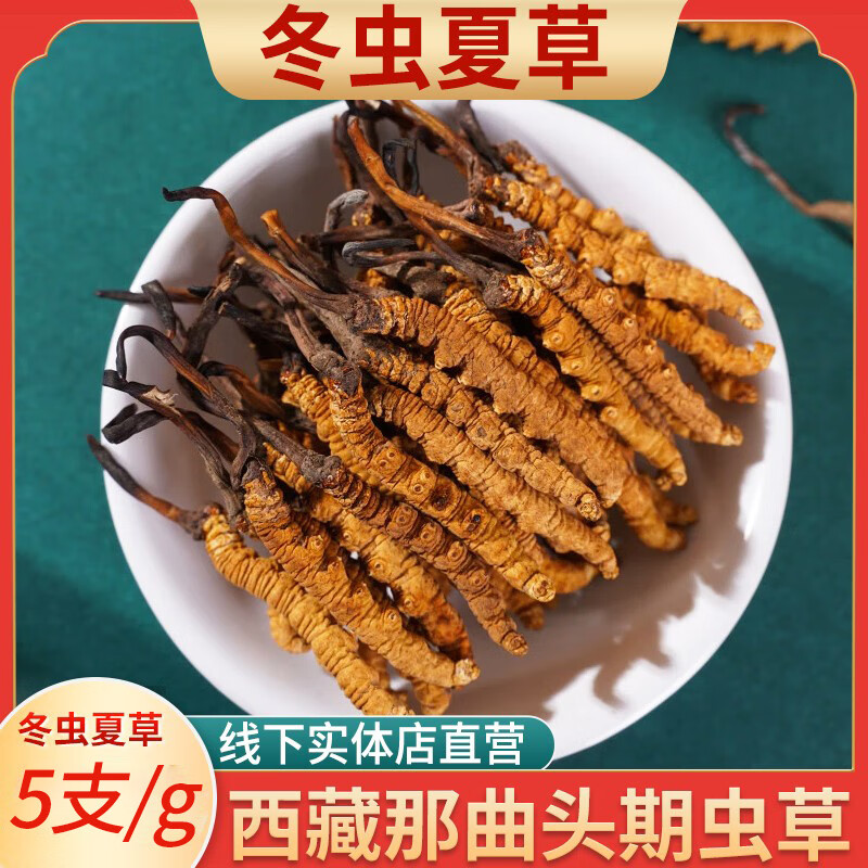 良心中药材新鲜冬虫夏草5支/g断草根煲汤茶西藏那曲头期鲜虫草滋补