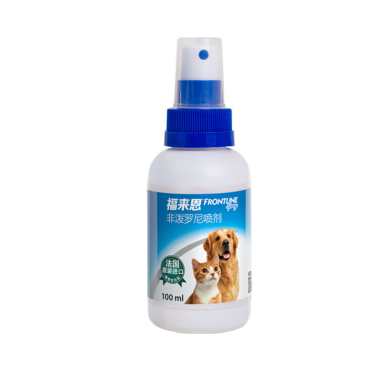 马上抢购！最新价格趋势揭秘，限时特惠享不停