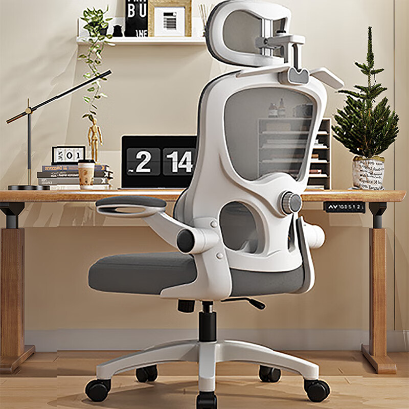 ���幤ѧ�칫������Ӧ����4Dͷ��͸�������� �ļ���+�������� ���Ұס�