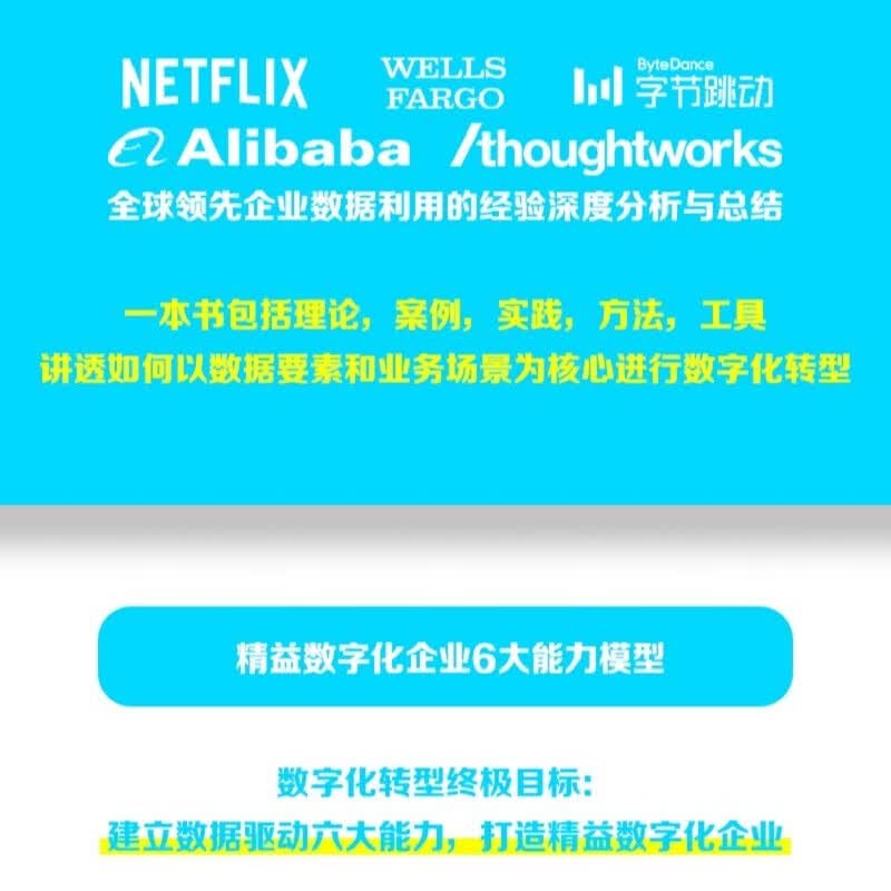 精益数据方法论：数据驱动的数字化转型详情图