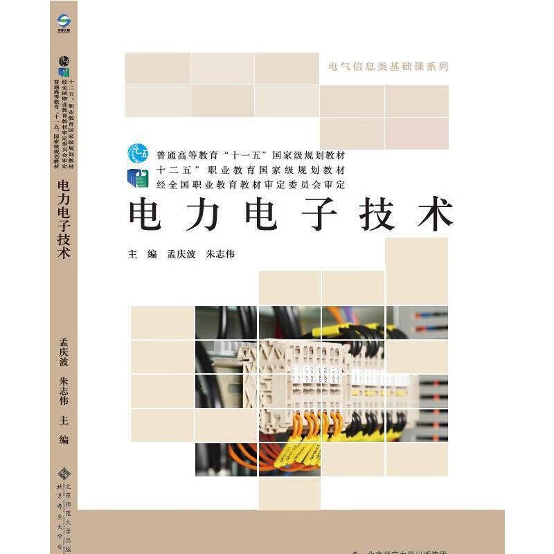 电力电子技术9787303245291