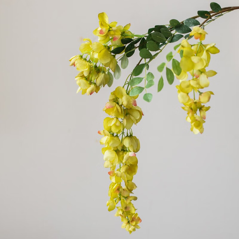 掬涵 阿勃勒仿真花垂吊藤蔓缠绕装饰造型花材艺术婚庆造景拍摄道具