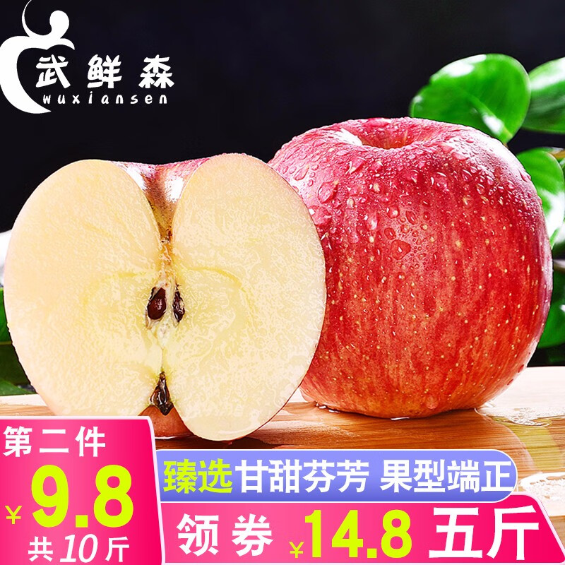 武鲜森 新鲜红富士苹果2.5-3斤/5斤 当季新鲜苹果水果 京东生鲜 含箱 臻选5斤