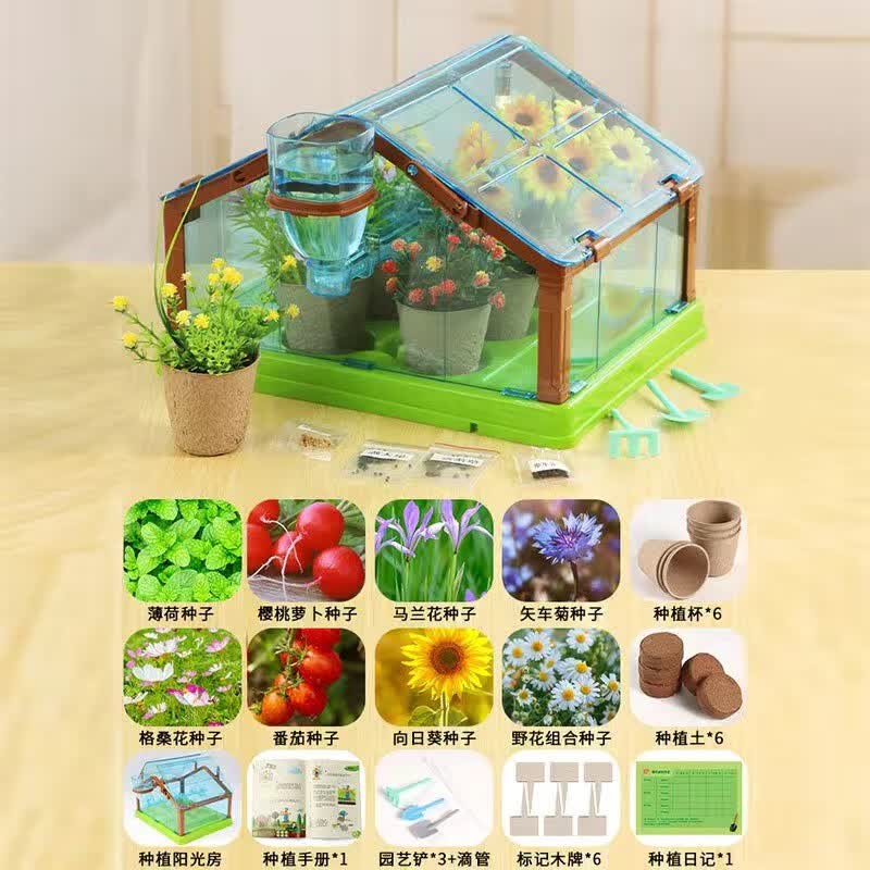 GOBO WANG儿童玩具种植阳光花房 植物观察科教小实验套装手工diy材料玩具 蓝色单层阳光房【8种子】怎么样,好用不?
