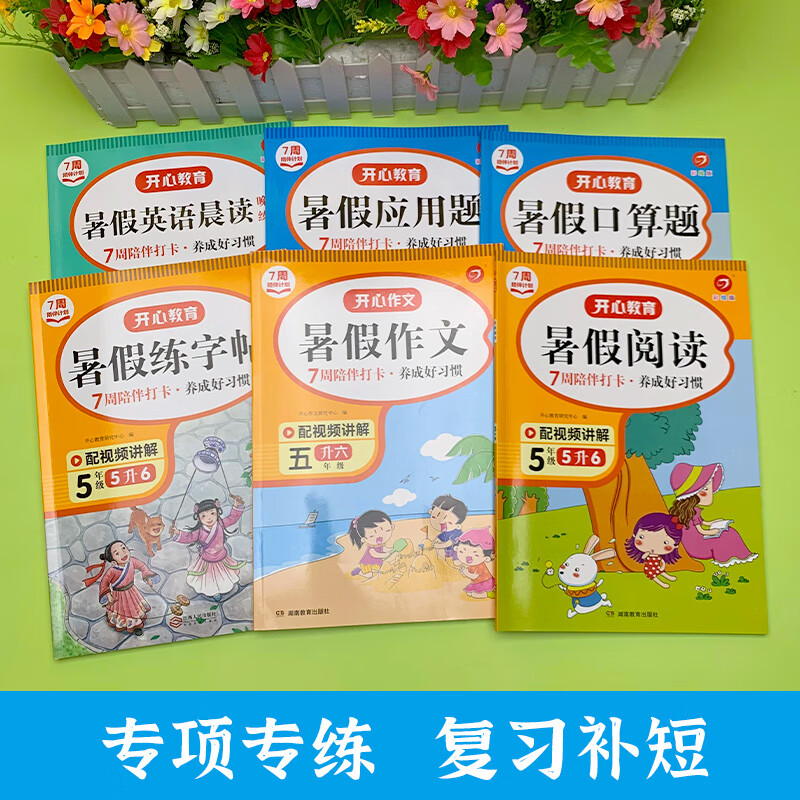 五升六暑假衔接专项训练五年级下册暑假作业