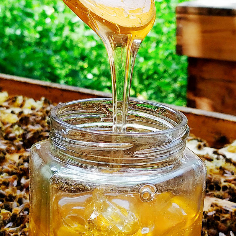 蜂蜜天然野生深山百花蜜自然成熟土蜂蜜农家自产自销 百花蜜 【发1斤装】