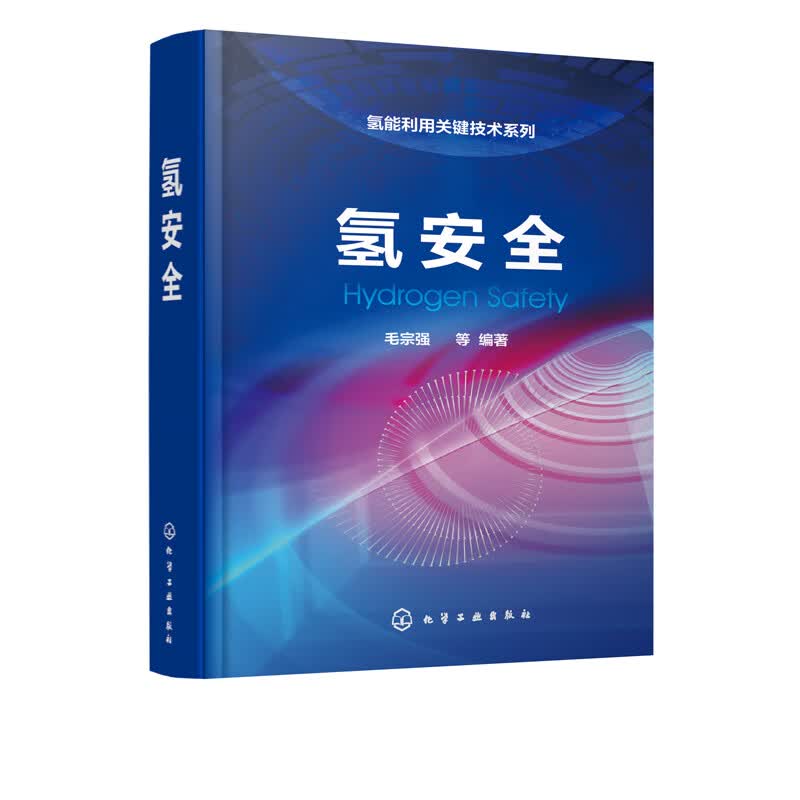 氢安全 氢能利用关键技术系列 毛宗强氢安全基础知识 氢气利用过程安全原理策略 氢制取储运应用氢能基础设施参考书化学工业出版社